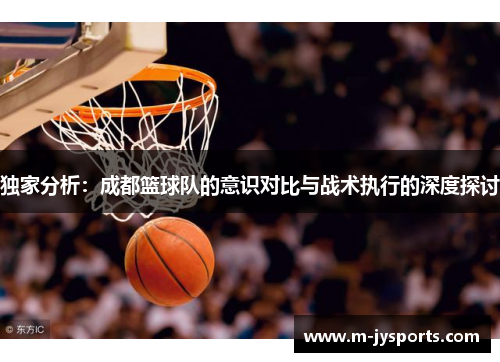 独家分析：成都篮球队的意识对比与战术执行的深度探讨