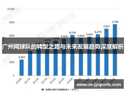 广州网球队的转型之路与未来发展趋势深度解析