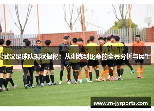 武汉足球队现状揭秘：从训练到比赛的全景分析与展望